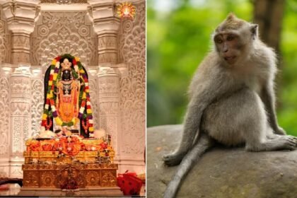 Monkey's Visit to Ram Mandir,Hanuman ji himself,