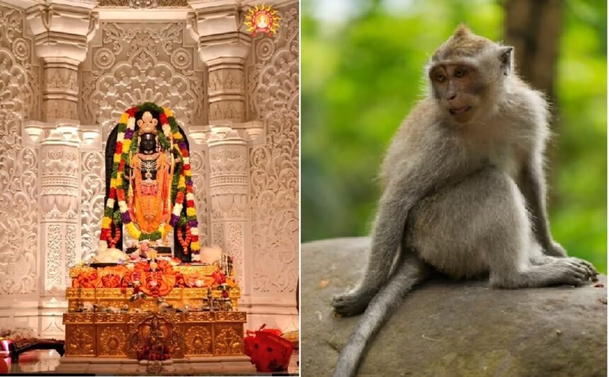 Monkey's Visit to Ram Mandir,Hanuman ji himself,
