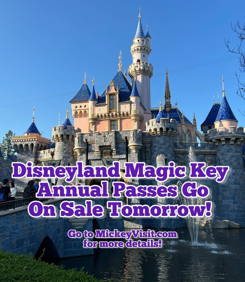 Disney,Walt Disney Studios,Disneyland